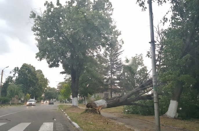 Силна буря връхлетя Козлодуй научи агенция BulNews Вследствие на стихията из