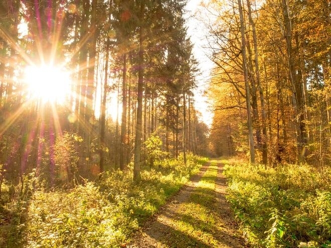 Жълт код за силен вятър е обявен в почти цялата страна  Видин