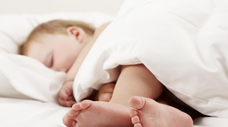 Вчера на територията на област Монтана има установени 8 нови