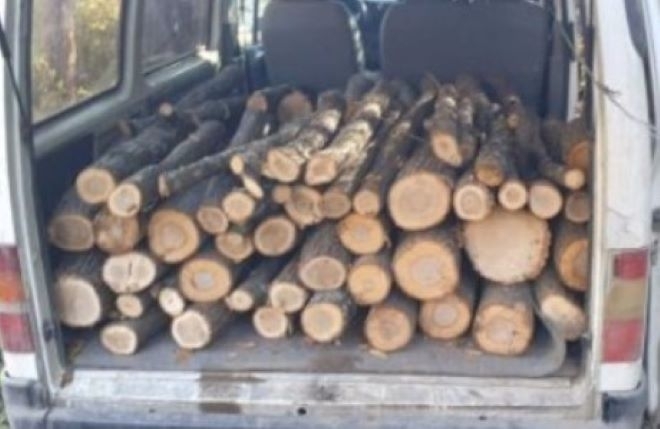 Иззеха незаконни дърва от автомобил във Врачанско съобщиха от полицията Около