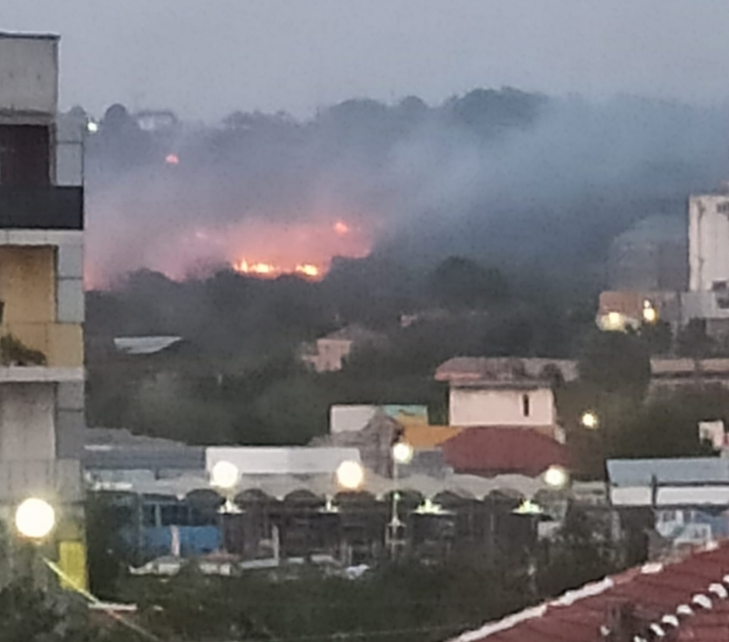 Огромен пожар бушува край Бяла Слатина, научи BulNews.
Огненият ад е