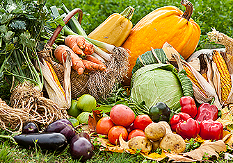 Цените през 2020 г на дребно и едро на зеленчуците