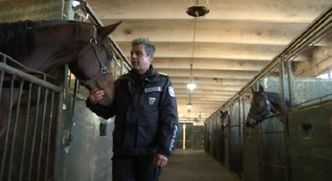 Открай време за конете е известно че притежават свой характер