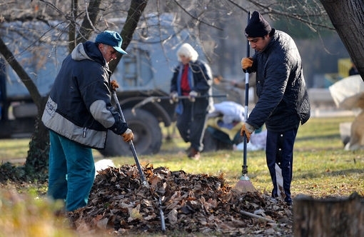 Общинските съветници в Лом приеха програмата за полагане на общественополезен