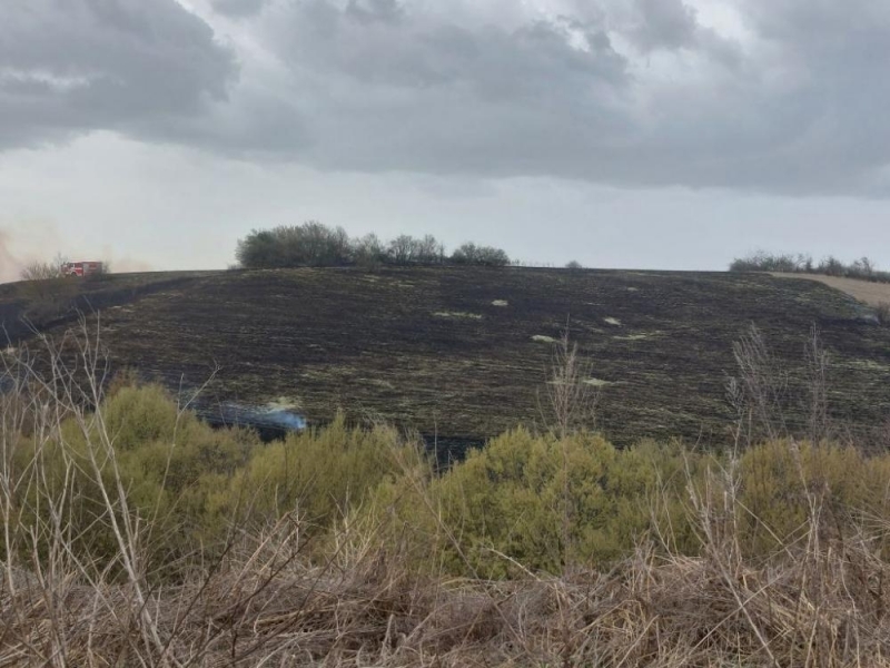 Сухи треви горяха в района на местността „Мишковото” край Мездра,