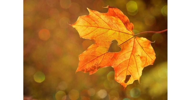 Днес ще бъде слънчево и почти тихо В сутрешните часове