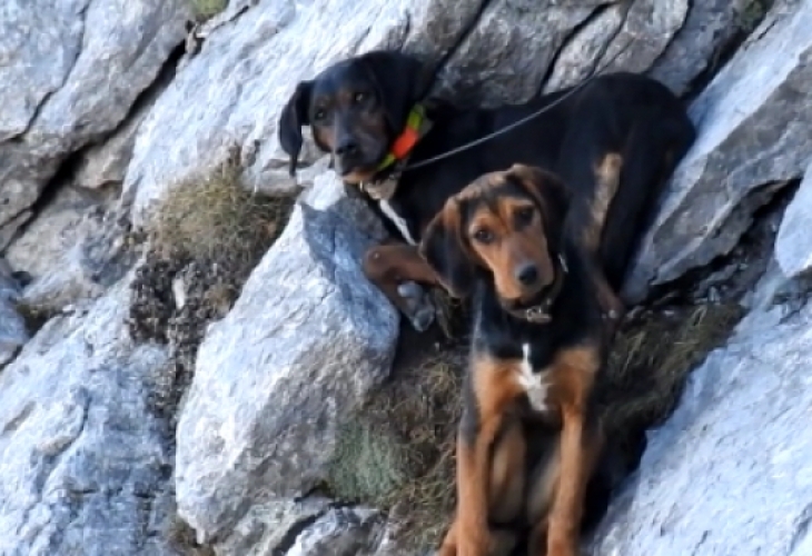 Млад мъж се превърна в герой след като рискува живота