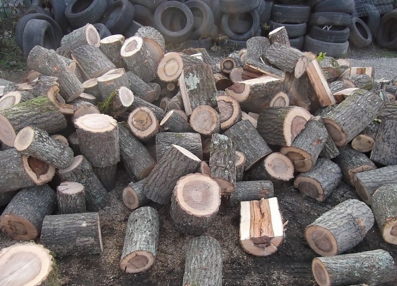 Полицията е открила незаконни дърва в два имота във врачанското