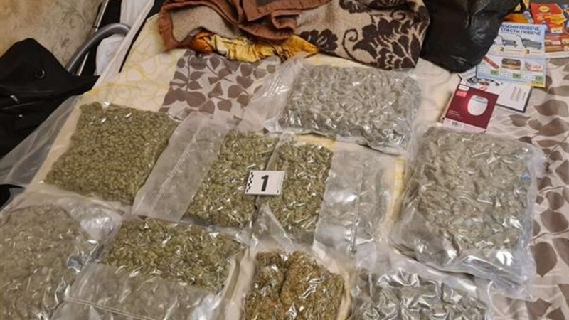 Специализирана полицейска операция за неутрализиране на организирана престъпна група извършвала