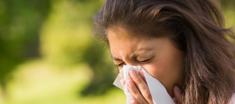 В разгара на лятото лекарските кабинети са пълни А причината