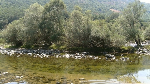 Откриха удавен мъж във водите на река Арда