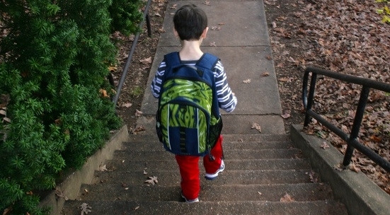 На 18 родители от област Видин са наложени санкции защото