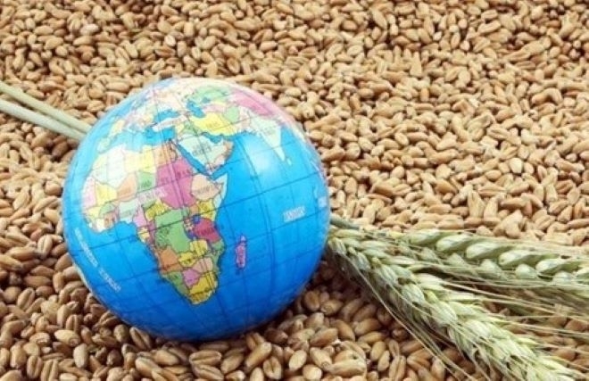 Леко покачване в цените на основните зърнени стоки по световните