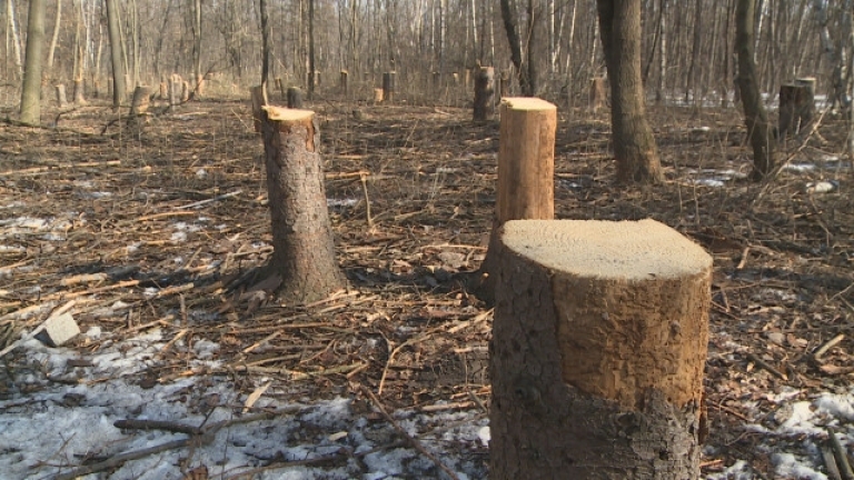 Вчера в Монтанско е проведена специализирана полицейска операция за противодействие