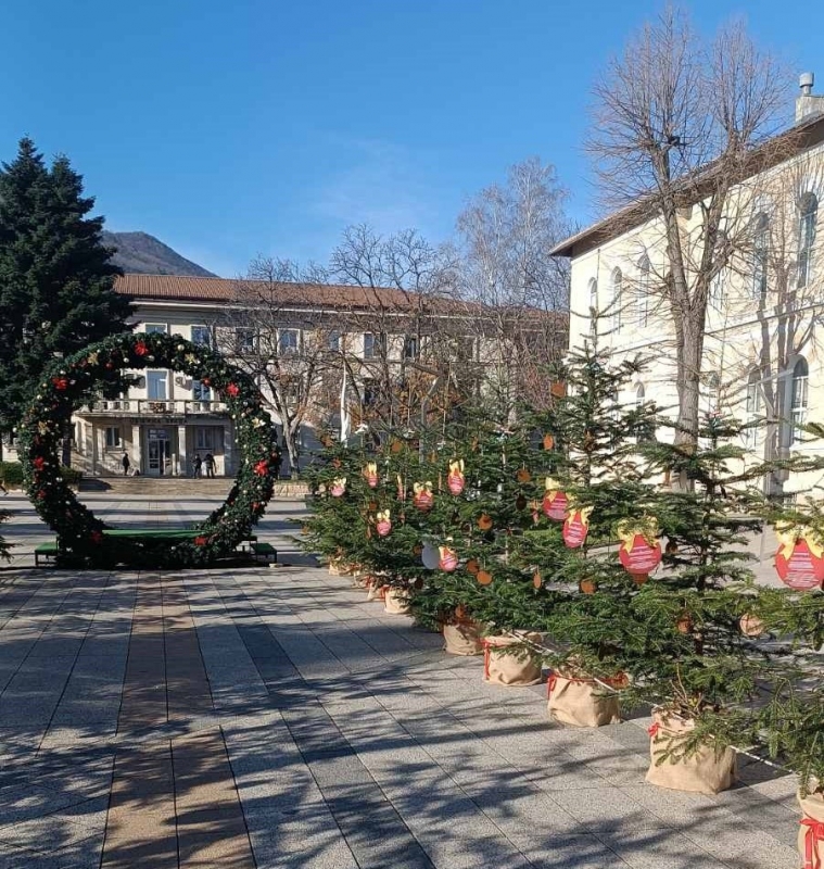 Обявени са даровитите деца в инициативата на СЗДП „Да си знаещ е модерно! Жива елха за любознателни деца“ /снимки/