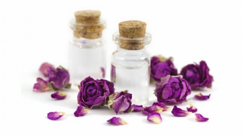 Холандската компания PFW Aroma Ingredients BV търси български партньор за