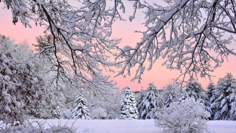 През следващото денонощие облачността над по голямата част от страната ще