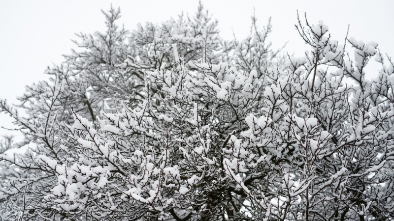Най ниските температури през февруари у нас ще бъдат между минус