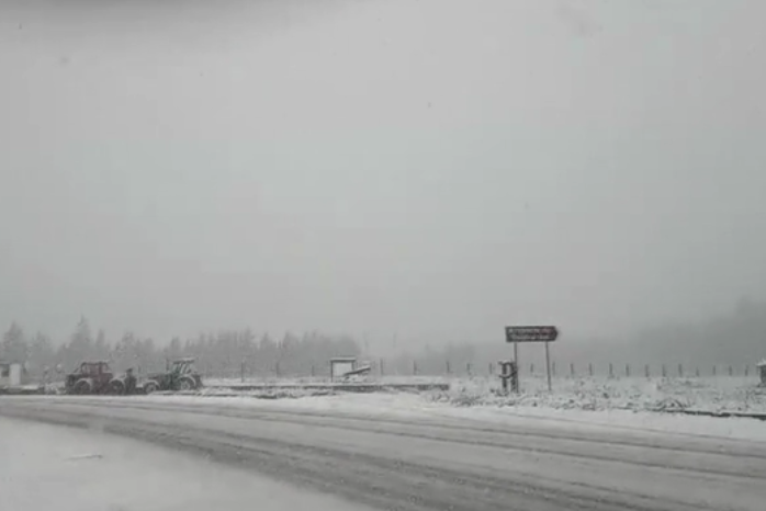 Сняг заваля на по високите места в Северозападна България като на