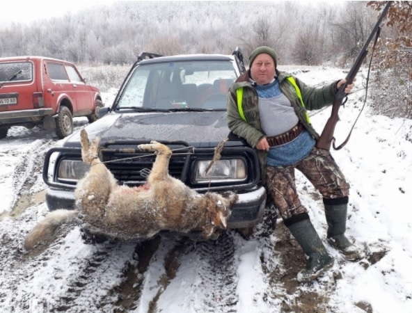 С два повалени вълка приключи ловът на диви прасета под
