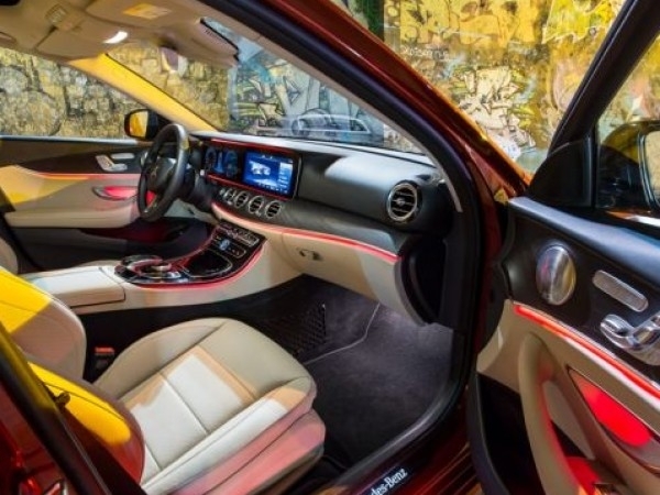 Котка успя да нанесе щети за повече от 20 000