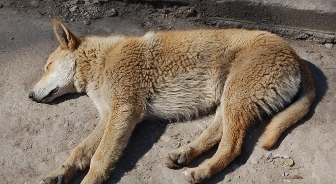 В петък около 22 35 часа в районното управление на МВР