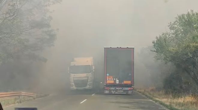Извънредно! Голям пожар бушува на Е-79 във Врачанско, гъст дим затруднява движението по пътя /снимки/