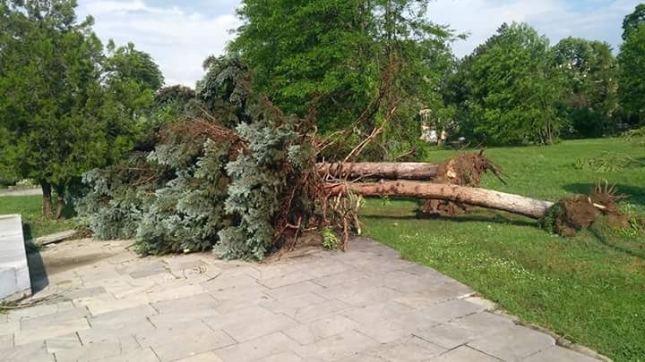 Обявено е бедствено положение в община Бяла Слатина заради обилните