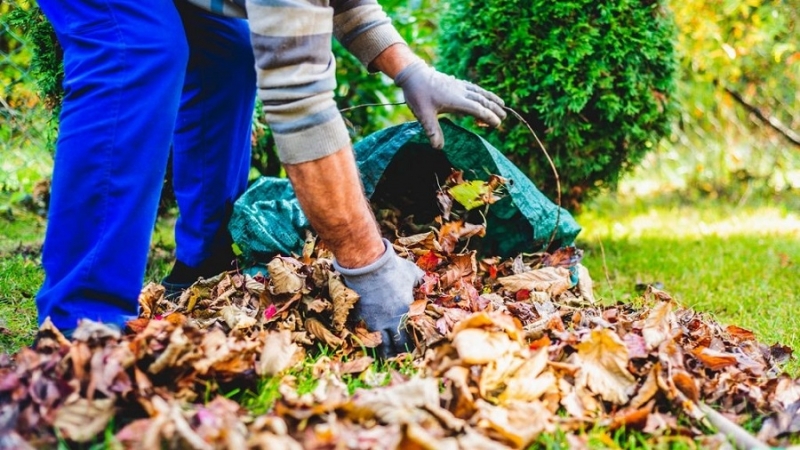 Продължава изпълнението на графика за есенно почистване в Берковица съобщиха