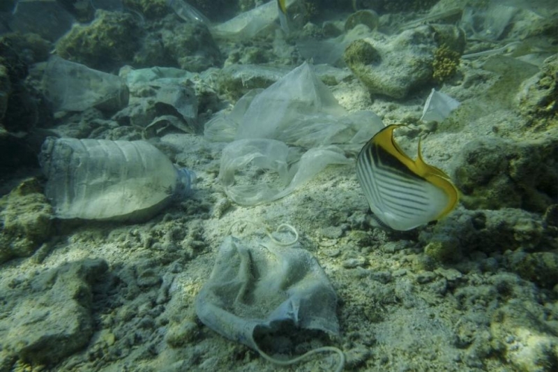 След началото на пандемията през 2020 г мнозина свикнаха да