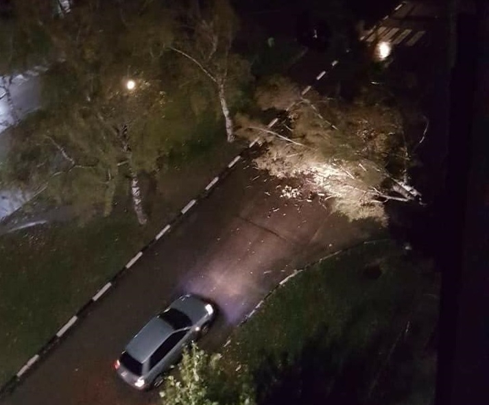 Служители на oбщинско предприятие Чистота в Мездра възстановяват щетите от