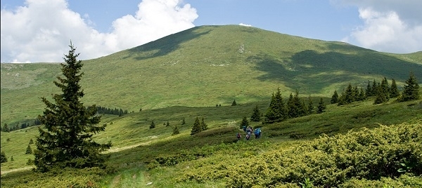 На 5 и 6 август в местността Горната кория почивна