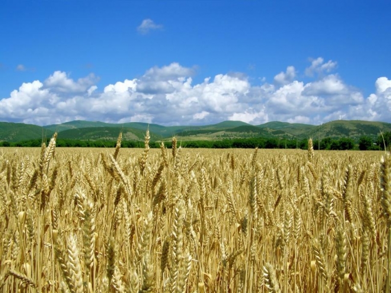 Екстремните метеорологични явления редуването на много ниски с много високи