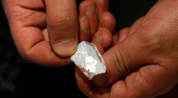 Заловиха 20 годишно момче с близо 50 пликчета хероин в Криводол