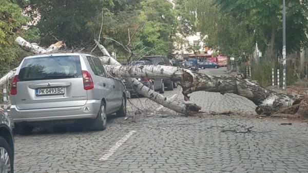 Кола паркирана в София беше премазана от паднало върху нея