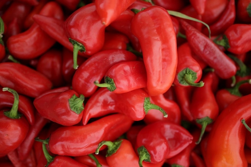 Ако искате да живеете по дълго и да се радвате на