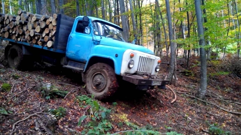 Заловиха мъж с крадени дърва във Видинско научи BulNews Случката е