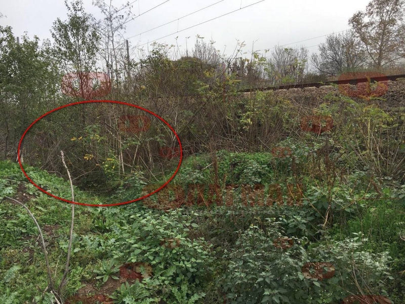 Най добрите специалисти от Института по психология към МВР събеседват с