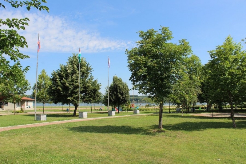 Пожар унищожи писта за скейтборд в Лом научи BulNews Инцидентът е