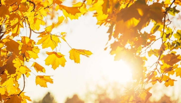 През нощта облачността ще намалява и над по голямата част от