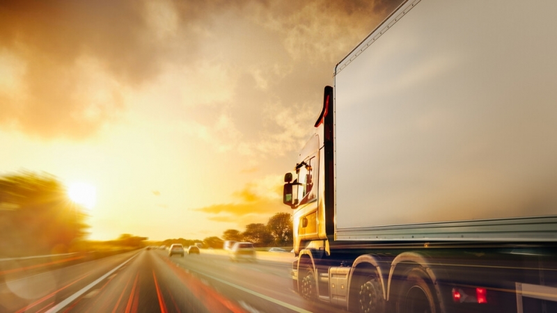 Двама граждани на Афганистан бяха заловени от румънската гранична полиция