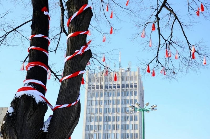 Община Видин по традиция всяка година украсява едно от дърветата на