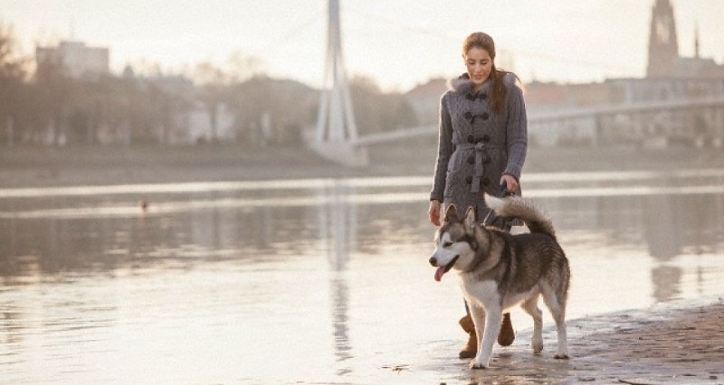 Семейство от Бургас се сдоби с два акта от по