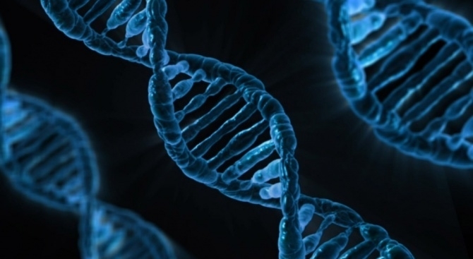 Учени от американската лаборатория Колд спринг харбър идентифицираха генна мутация която