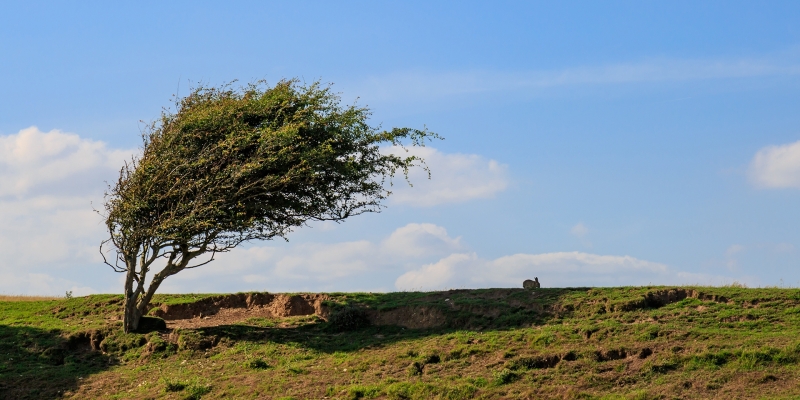 Днес отново ще бъде студено и ветровито  На отделни места главно
