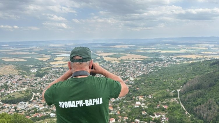 Институциите зоват: Без майтапи, само достоверна информация за шуменската пантера