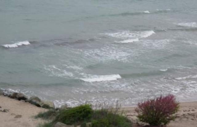 Жител на Балчик е сигнализирал в полицията че при разходка