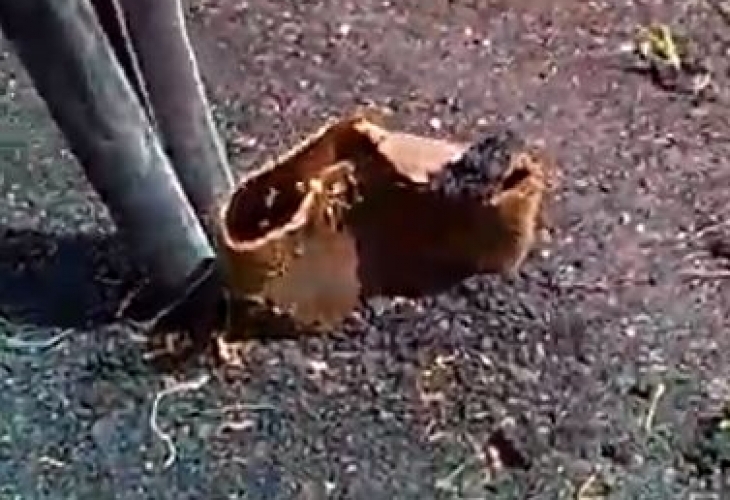 Русенец показа как изглежда новият тротоар на улица Петрохан в