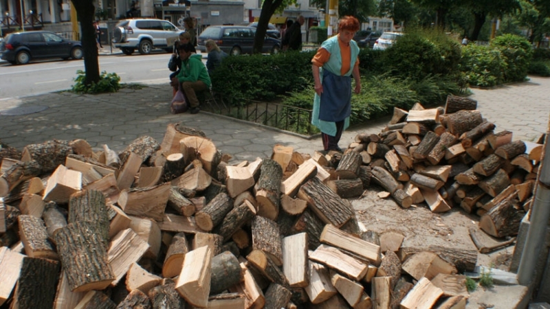12 039 са подадените заявления декларации за отпускане на еднократни целеви помощи