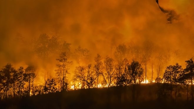 Няколко региона в Северна Гърция са обхванати от горски пожари